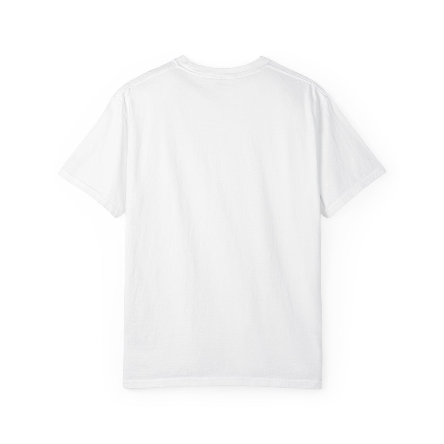 Graphic T-Shirt — AIN'T GETTIN' IN NO PLANE NOW HOP INSIDE ME SUCKA Tee